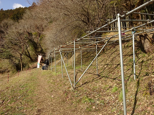 ⑤奥宅裏（八幡神社）